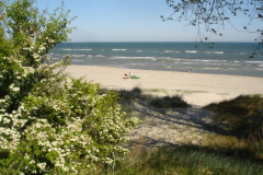 Sildestrup-2008-015