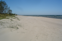 Stranden en efterårsdag