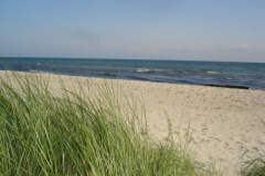 Stranden fra klitterne