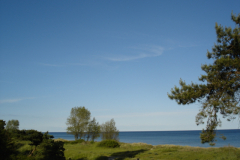 Seaside-Inn-reality-010