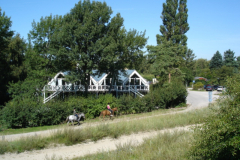 Sildestrup-sommerbilleder-045